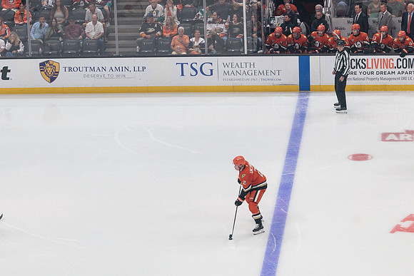 100426_ANAHEIM_DUCKS_RMR10950