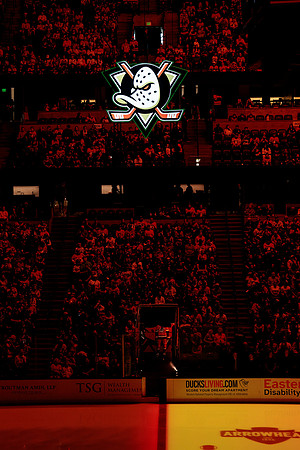 100426_ANAHEIM_DUCKS_RMR16328