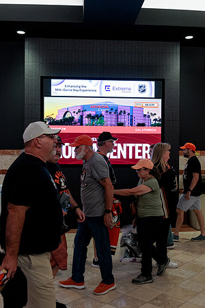 100426_ANAHEIM_DUCKS_RMR13358