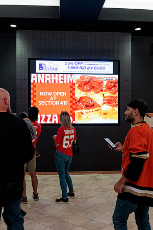 100426_ANAHEIM_DUCKS_RMR12740