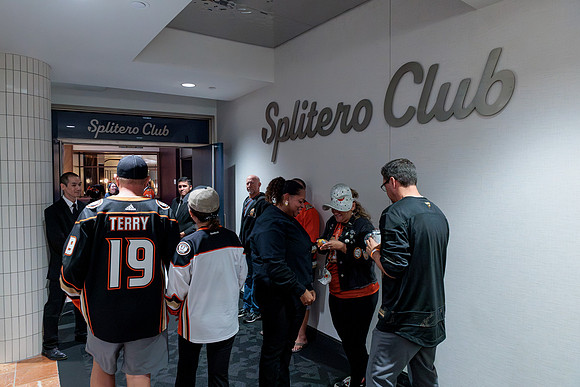 100426_ANAHEIM_DUCKS_RMR13521