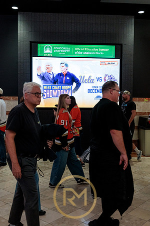 100426_ANAHEIM_DUCKS_RMR11860