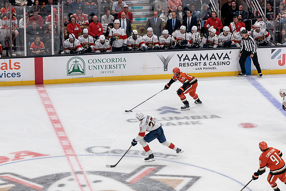 100426_ANAHEIM_DUCKS_RMR11772