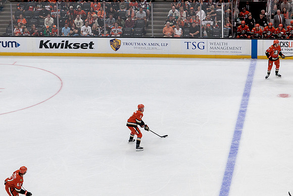 100426_ANAHEIM_DUCKS_RMR18620