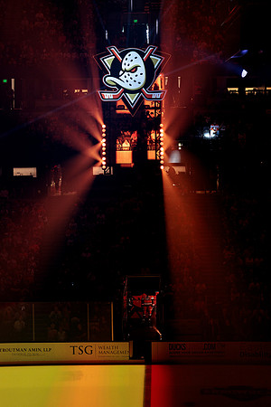 100426_ANAHEIM_DUCKS_RMR16312