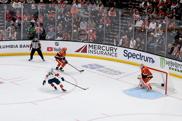100426_ANAHEIM_DUCKS_RMR12791