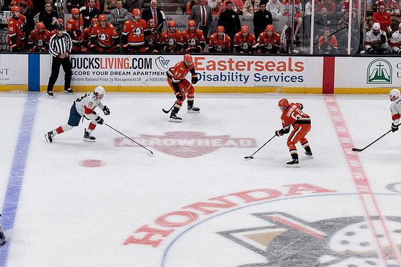 100426_ANAHEIM_DUCKS_RMR12822