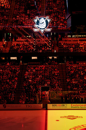 100426_ANAHEIM_DUCKS_RMR16280