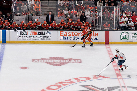 100426_ANAHEIM_DUCKS_RMR11465