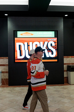 100426_ANAHEIM_DUCKS_RMR12469