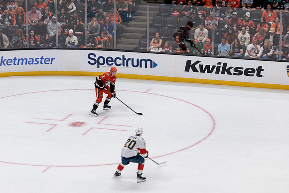 100426_ANAHEIM_DUCKS_RMR19578
