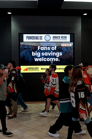 100426_ANAHEIM_DUCKS_RMR14728