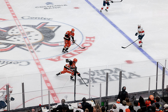 100426_ANAHEIM_DUCKS_RMR17359