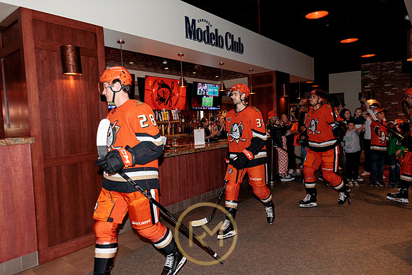 100426_ANAHEIM_DUCKS_RMR15168