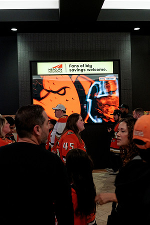 100426_ANAHEIM_DUCKS_RMR13141