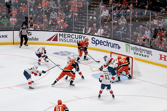 100426_ANAHEIM_DUCKS_RMR18986