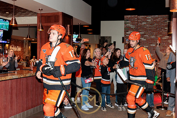 100426_ANAHEIM_DUCKS_RMR15139