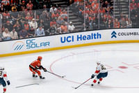 100426_ANAHEIM_DUCKS_RMR16746