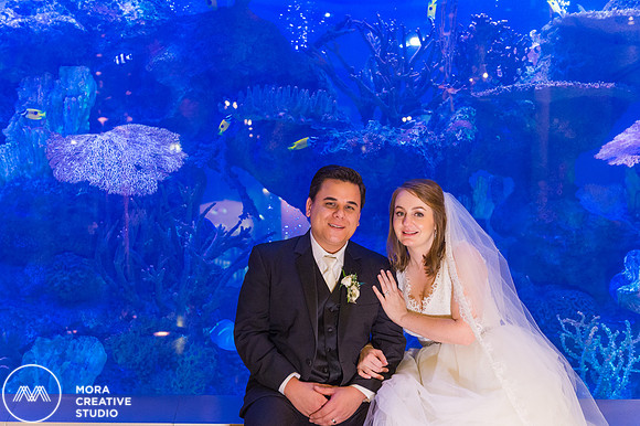 WEDDING_111415_01211