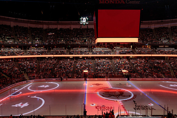 100426_ANAHEIM_DUCKS_RMR16171