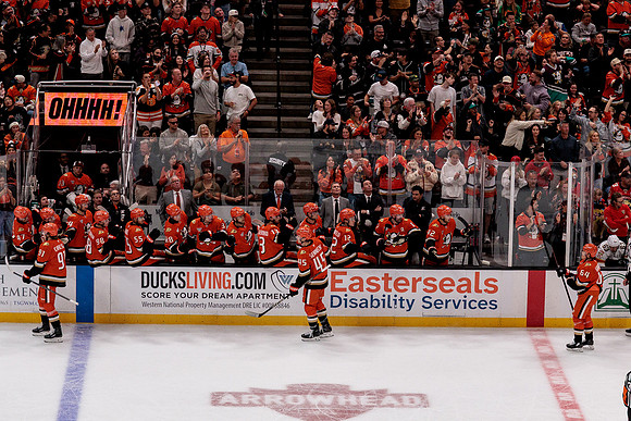 100426_ANAHEIM_DUCKS_RMR10001