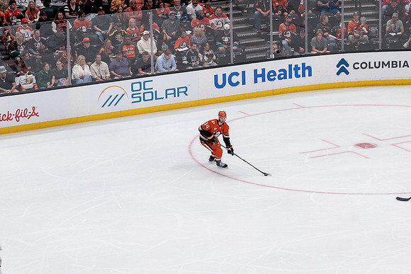 100426_ANAHEIM_DUCKS_RMR12034