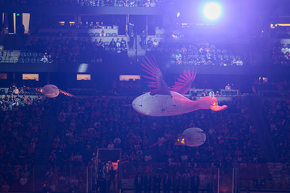 100426_ANAHEIM_DUCKS_RMR15891