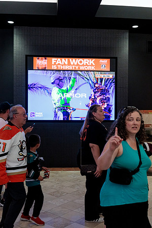 100426_ANAHEIM_DUCKS_RMR14282