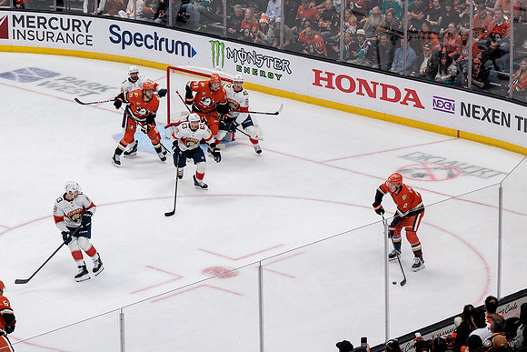100426_ANAHEIM_DUCKS_RMR19023