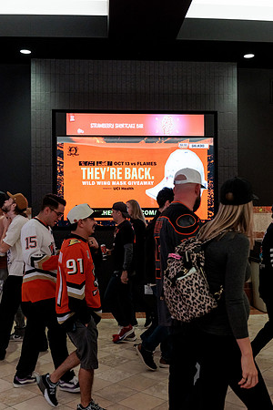 100426_ANAHEIM_DUCKS_RMR12880