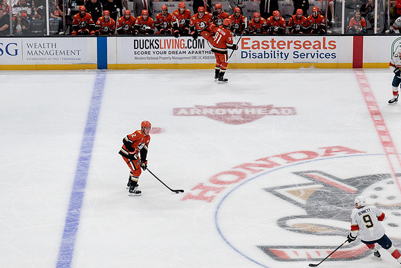 100426_ANAHEIM_DUCKS_RMR18645