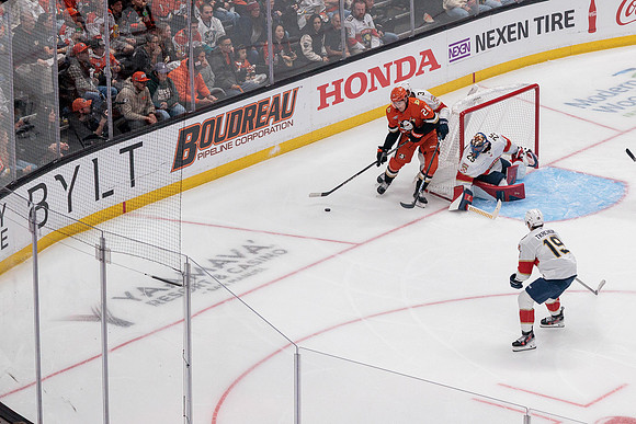 100426_ANAHEIM_DUCKS_RMR11673