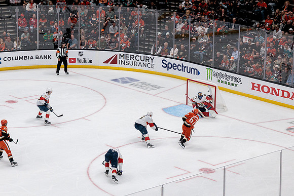 100426_ANAHEIM_DUCKS_RMR18673
