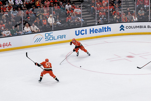 100426_ANAHEIM_DUCKS_RMR10326