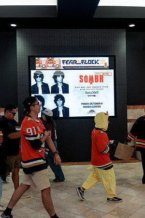 100426_ANAHEIM_DUCKS_RMR14079