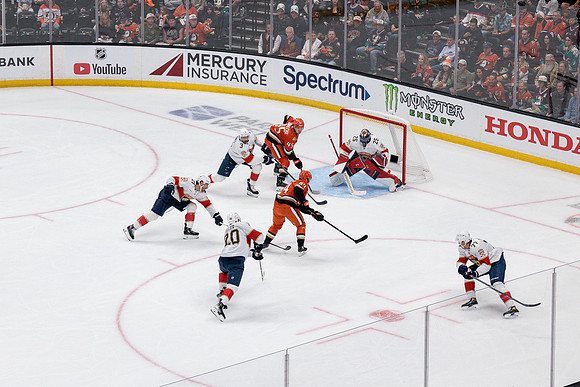 100426_ANAHEIM_DUCKS_RMR19698