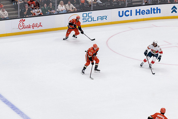 100426_ANAHEIM_DUCKS_RMR10366