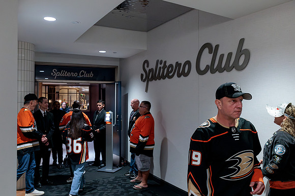 100426_ANAHEIM_DUCKS_RMR13449A