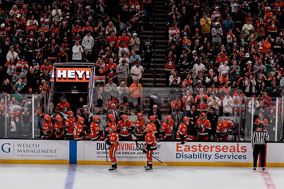 100426_ANAHEIM_DUCKS_RMR10022