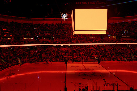 100426_ANAHEIM_DUCKS_RMR16160