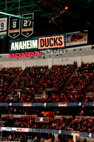 100426_ANAHEIM_DUCKS_RMR17780