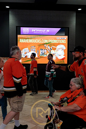 100426_ANAHEIM_DUCKS_RMR11884