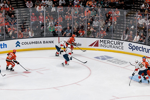 100426_ANAHEIM_DUCKS_RMR17724