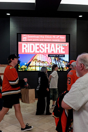 100426_ANAHEIM_DUCKS_RMR13449