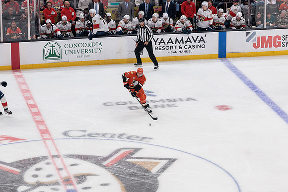 100426_ANAHEIM_DUCKS_RMR11621