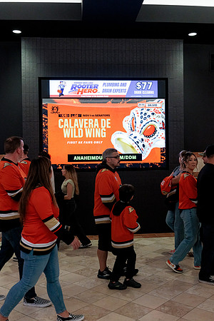 100426_ANAHEIM_DUCKS_RMR13005