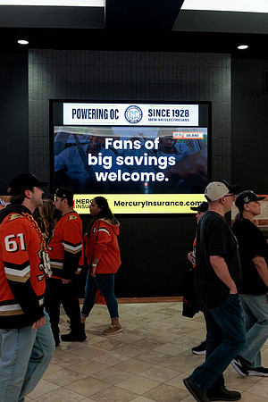 100426_ANAHEIM_DUCKS_RMR14746