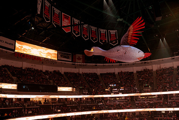100426_ANAHEIM_DUCKS_RMR16026