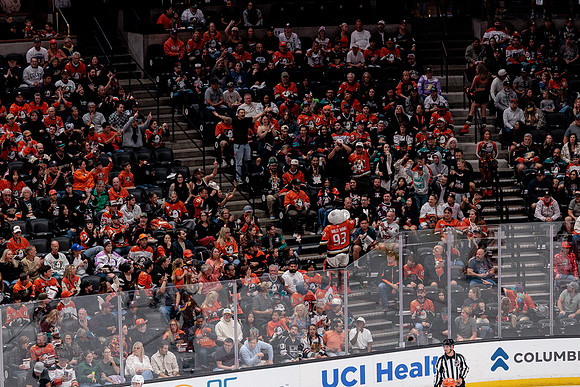 100426_ANAHEIM_DUCKS_RMR12205
