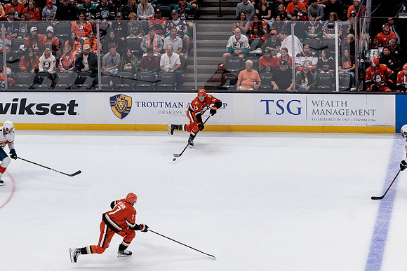 100426_ANAHEIM_DUCKS_RMR10247